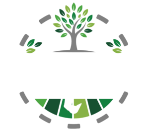 png-01 (4)