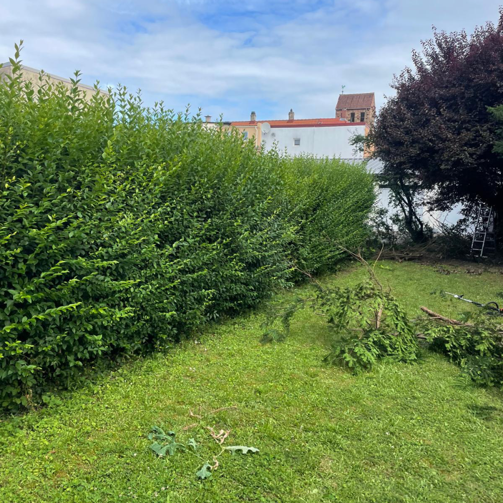 Dieses Bild zeigt einen stark verwilderten und unstrukturierten Gartenbereich mit unebenem, teils beschädigtem Pflaster in unterschiedlichen Materialien. Moos und Wildkraut dominieren den Bereich, was die Nutzung und Optik erheblich beeinträchtigt. Genau solche Projekte gehören zu unserem Spezialgebiet im Pflasterbau und Gartenbau in Mannheim, Ludwigshafen und Umgebung. Hier setzen wir auf saubere Linien, funktionale Flächen und ästhetische Gesamtkonzepte – sowohl für Privatkunden als auch für Gewerbe. 🏡 Leistungen für diesen Fall (vorher): • Entfernung von Altbelägen • Entsorgung von Wildwuchs • Planung eines neuen Pflaster- & Beetkonzepts