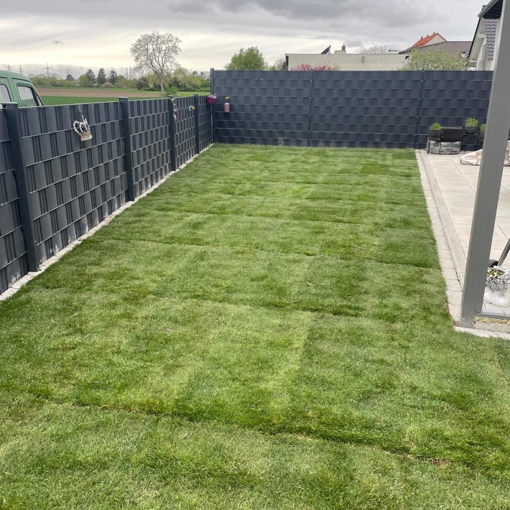 Frisch verlegter Rollrasen im modernen Privatgarten in Ludwigshafen